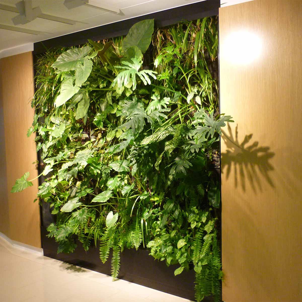 wall planter
